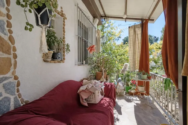 En venta maravillosa finca Rustica de Olivos — 6