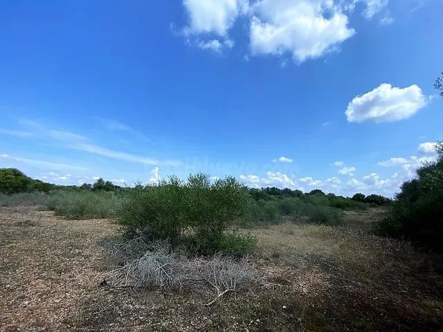 Finca rústica en zona de Ses Salines con proyecto de edifica - foto 2
