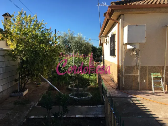 MAGNIFICO CASA CON TERRRENO EN ALCOLEA!! — 2