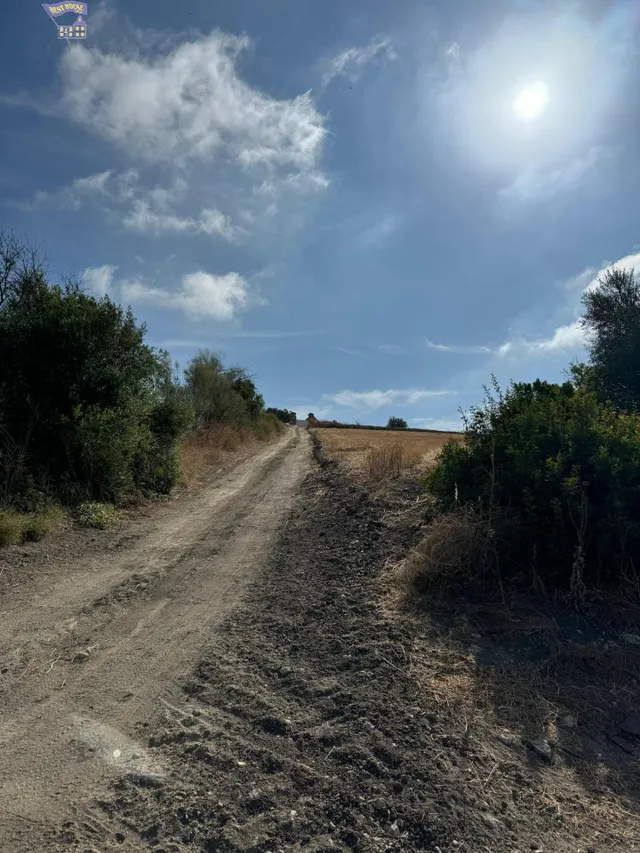 TERRERO RÚSTICO EN ZONA CARRETERA ARCOS-ALGAR — 4