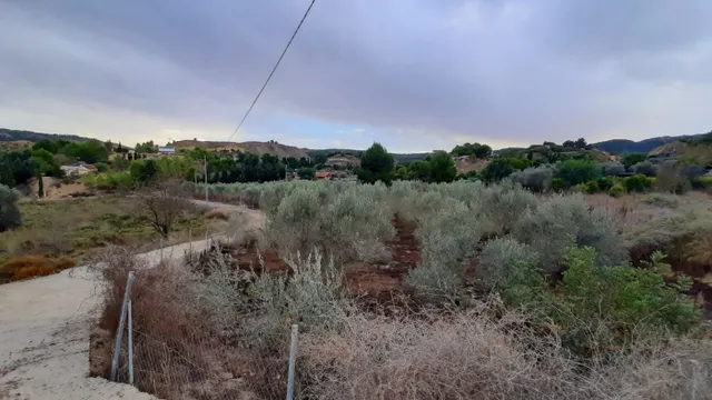 Casa con parcela  Camino de Los Puros — 16