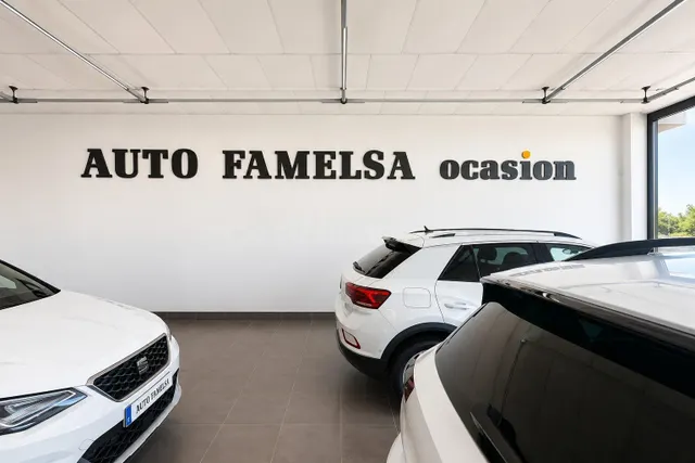 Auto Famelsa: Oportunidad de Inversión - foto 2
