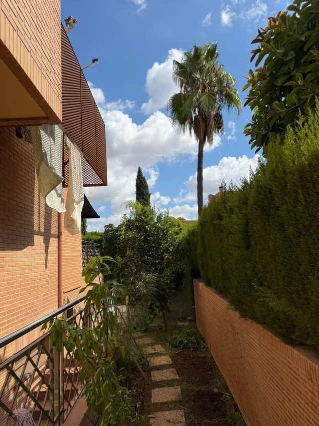 Casa 5 habitaciones 400m² en venta - Mas Camarena — 27