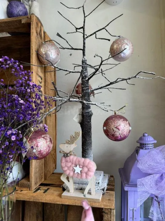 OPORTUNIDAD FLORISTERIA DE RENOMBRE EN OURENSE