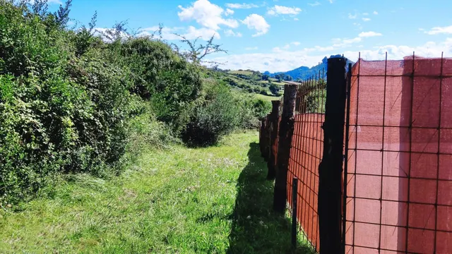 Construye tu hogar en el corazón de la naturaleza — 6