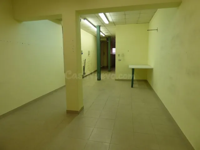 LOCAL COMERCIAL EN VENTA DE 143M2 EN LA ZONA DEL PASEO DE MA - foto 3