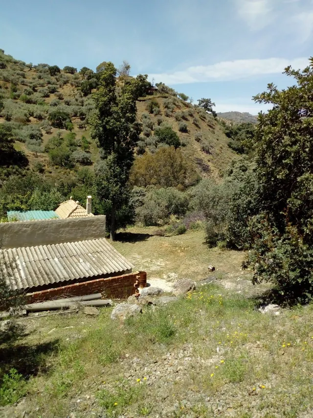Finca rústica a la venta en Comares — 20