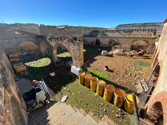SOLAR EN CASAR DE CÁCERES — 5