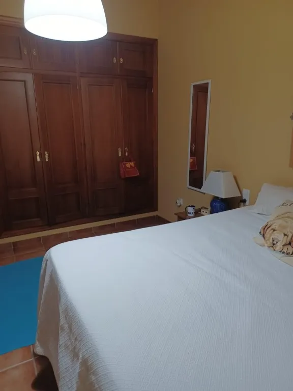 Magnífica casa de campo con piscina y vistas a Moguer, en finca de casi 15.000 m2 — 20