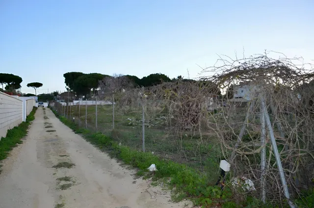 TU SUEÑO EMPIEZA AQUÍ: AMPLIA PARCELA EN EL PINAR DE LOS FRA - foto 3