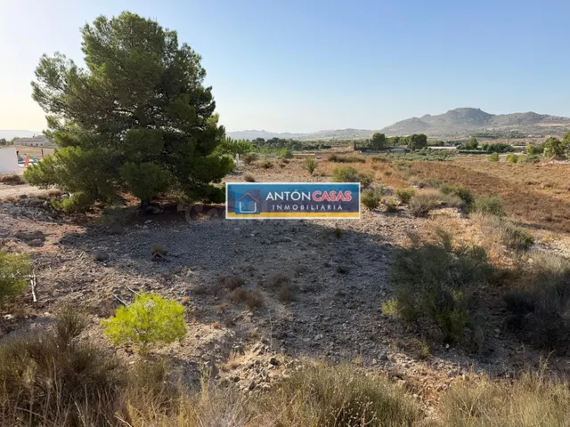 VENTA DE TERRENOS EN HORNA ALTA - NOVELDA - foto 5