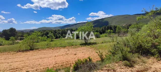 Finca rustica para rehabilitar — 9
