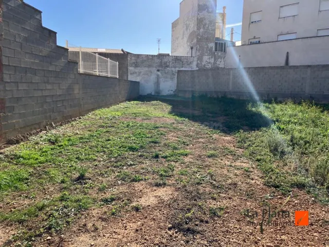 PARCELA EN VENTA EN ZONA "VALLETES" DE AMPOSTA (TARRAGONA) - foto 4
