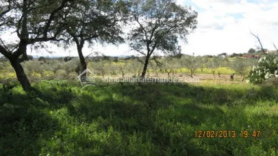 Se vende Parcela de 8.200 m2 vallado, en Arroyo de la Luz