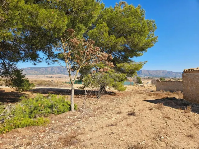 Amplio Chalet en Pinoso: ¡Tu Oportunidad de Inversión! ✨ - foto 3