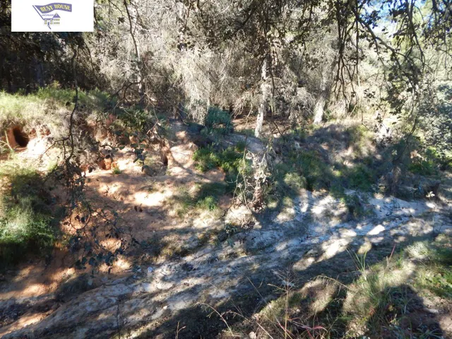 GRAN PARCELA URBANIZABLE EN PLENA NATURALEZA DE LA URB. HELIOS!!! — 11
