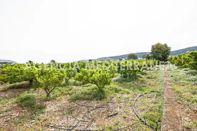 AMPLIA PARCELA URBANIZABLE PROXIMA ORBA CENTRO — 15