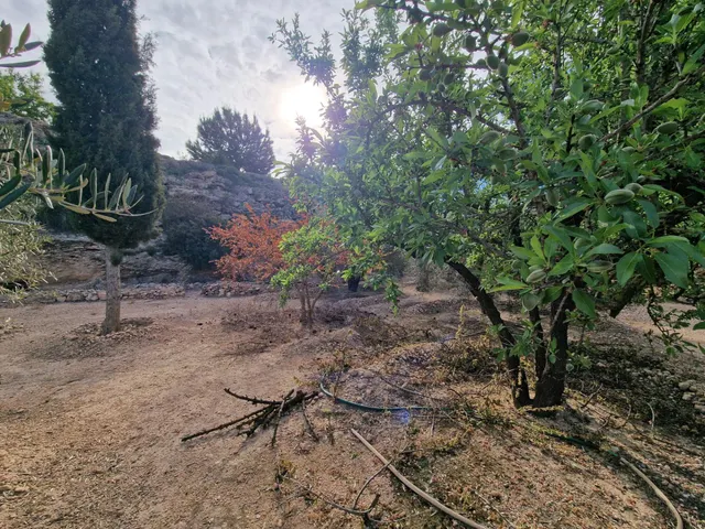 TERRENO CON CASA - CUEVA EN EL HONDON DE LAS NIEVES — 15