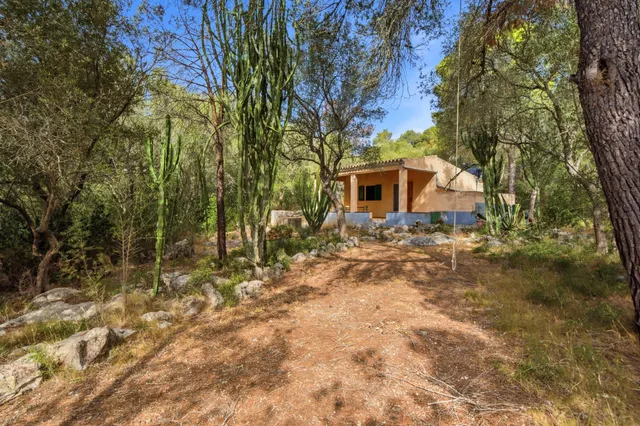 Encanto rústico en plena naturaleza, a solo 5 minutos de Es Cruce – Petra, Mallorca — 11