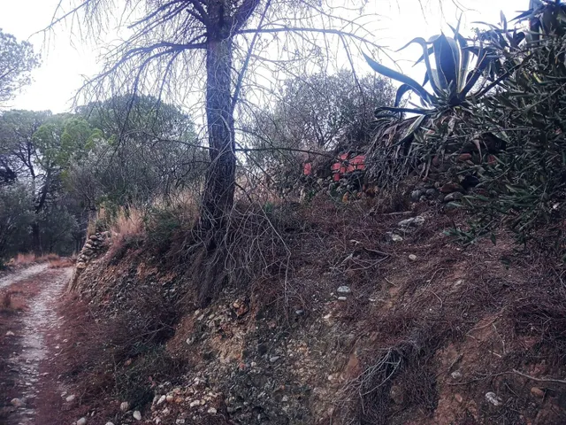 terreno Agrario — 2