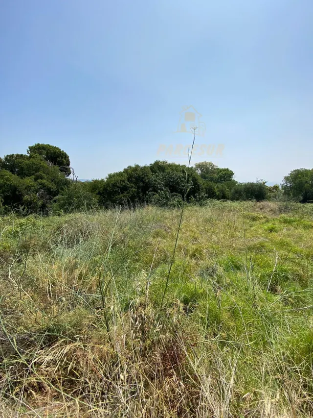 BRILLANTE - Terreno de 6.000 m con construcción en forjado s - foto 4