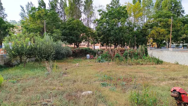 ¡¡ TERRENO EN CANYELLES - CALIFORNIAS !! — 7