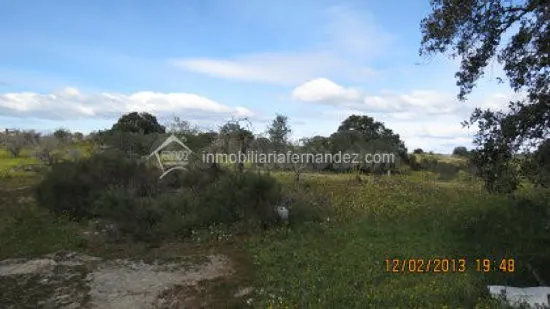 Se vende Parcela de 8.200 m2 vallado, en Arroyo de la Luz - foto 5