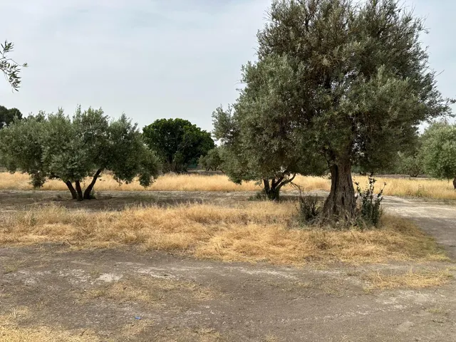 VENTA DE SOLAR URBANIZABLE DE 577 M2 EN CHIMENEAS — 22