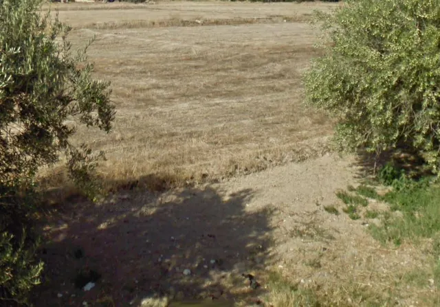 PARCELA PARA EDIFICAR O CULTIVAR EN CAZALLA. - foto 5