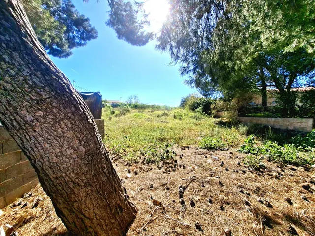 SOLAR EN VENTA, LA CAÑADA BÉTERA - foto 3