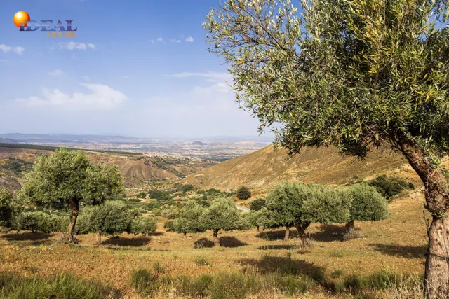 En Venta Maravilloso Paraje Natural, a medio camino entre Granada y Sierra Nevada, a veinte minutos en coche, desde cada una de ellas. — 22