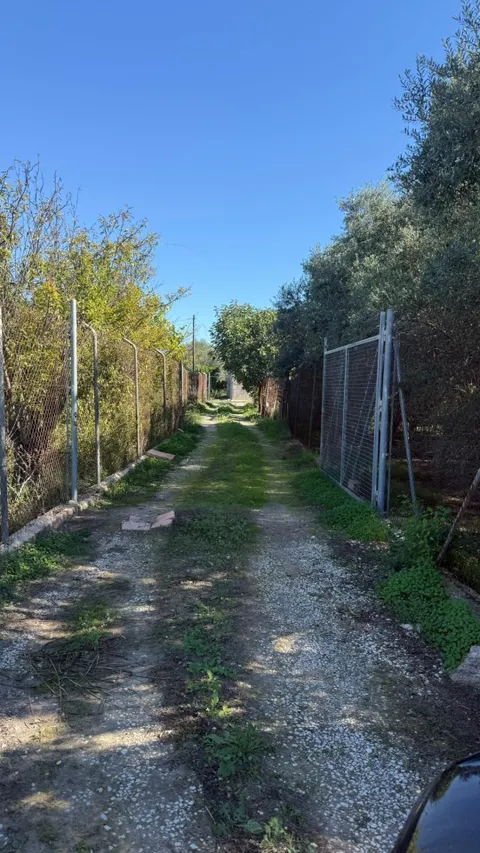 Oportunidad de Inversión en Terreno Rústico - La Alberca, Murcia