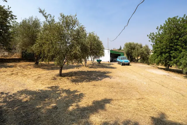 Encanto rústico con casita y olivos en Moraleja de Zafayona - foto 2