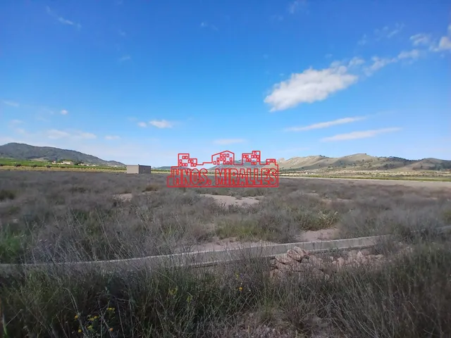 ¡¡ GRAN PARCELA DE 25851 m2 EN ABANILLA !! — 3
