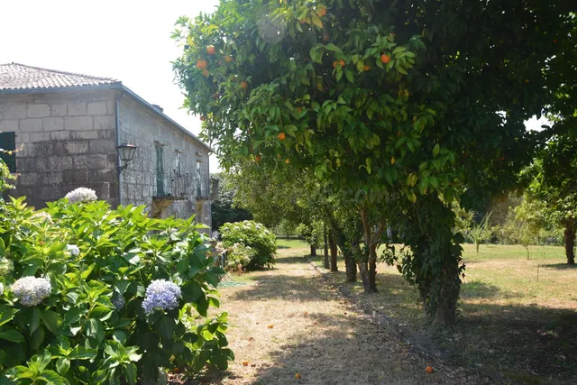 Bonito Pazo. - foto 3