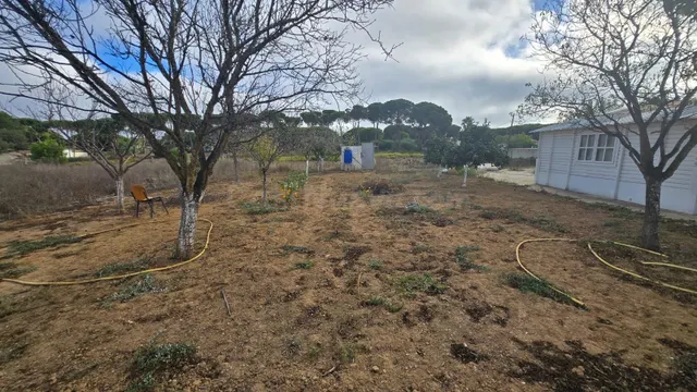 Parcela con refugio de madera zona Rana verde. - foto 3