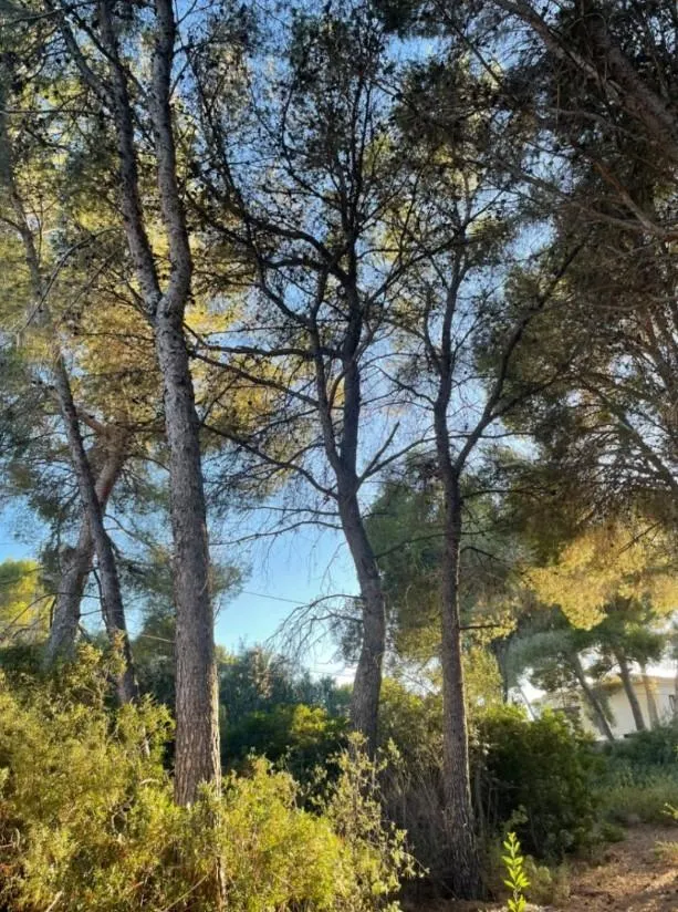 Parcela en Benissa costa — 2