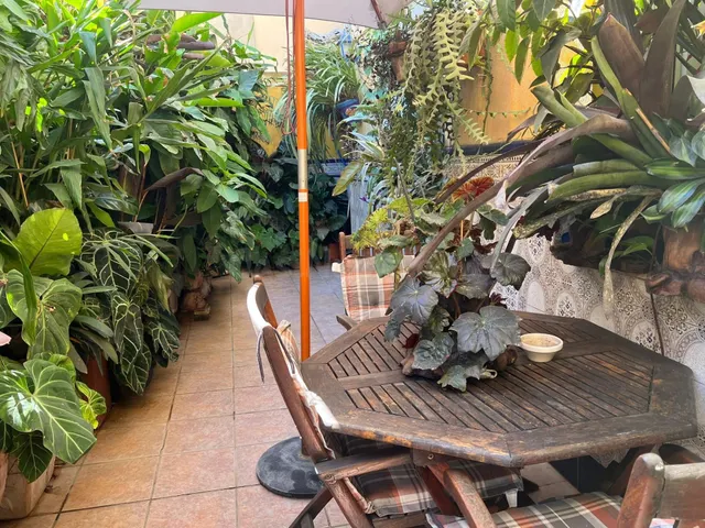 Piso en planta baja en San Rafael - Ontinyent - foto 2