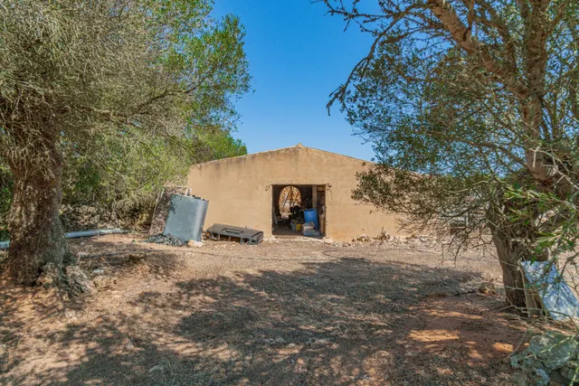 Finca rústica con viñedos y chalet tradicional en Mahón. — 27