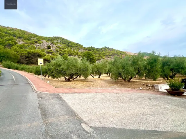 NÍVAR - foto 4