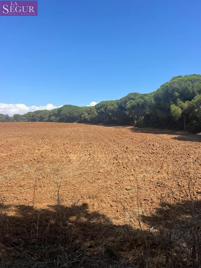 MAGNIFICA PARCELA EN LA MUELA — 10