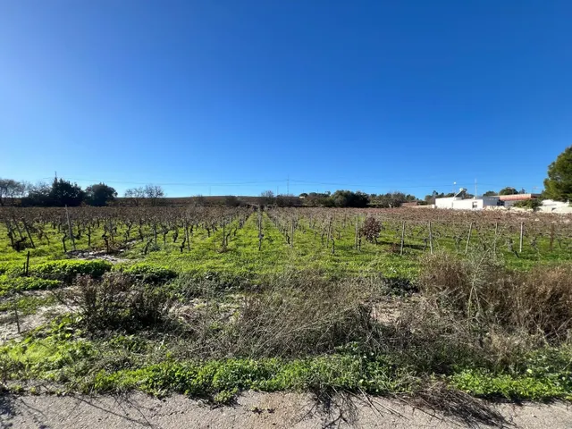 Parcela en venta - sur - foto 2