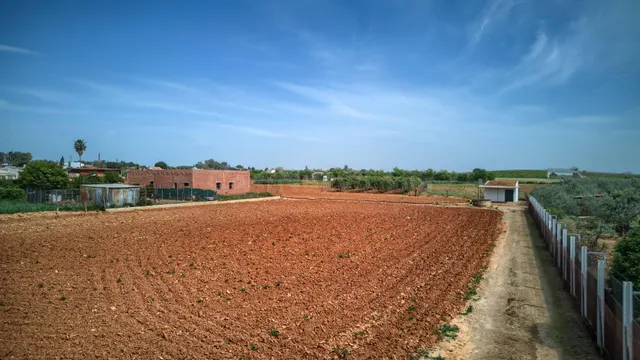 Finca rústica de 8.800 m2 con pozo, luz, construcción y dobl - foto 2