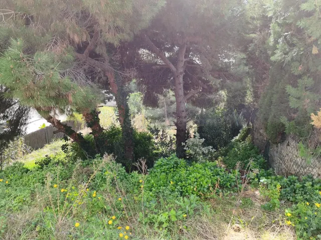 Parcela en venta en Alella Park – 839 m2 - foto 5
