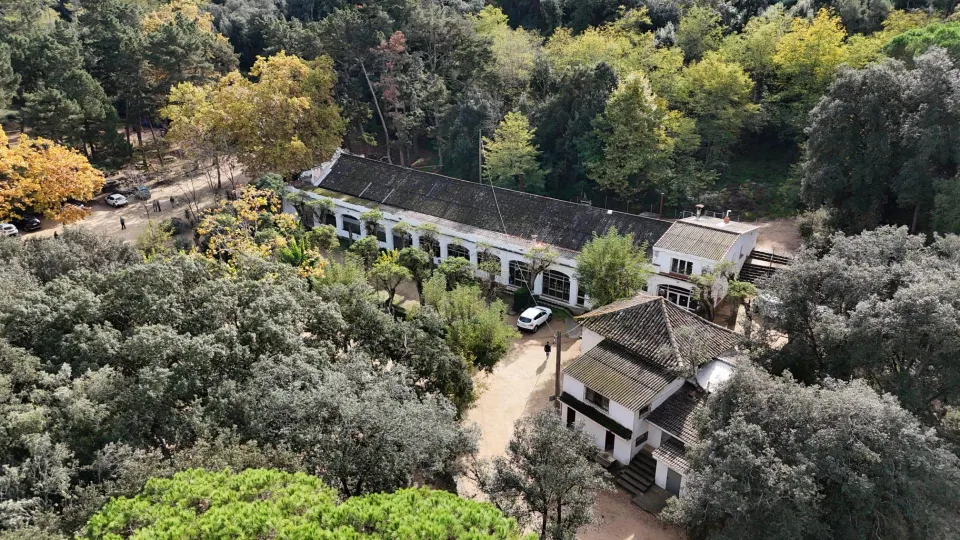 Finca rústica de 9 hectáreas en Arenys de Munt