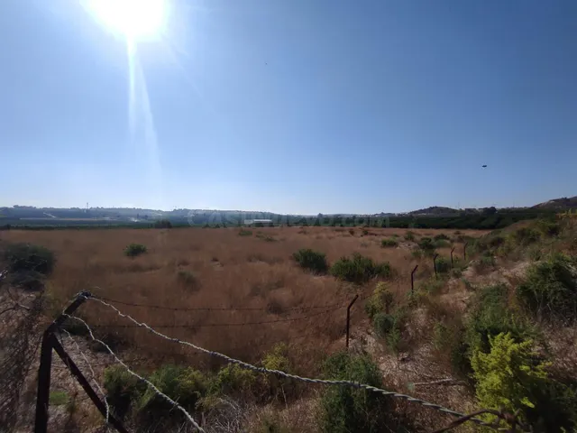 Gran parcela de 8357 metros cuadrados con luz y agua en Algo - foto 4