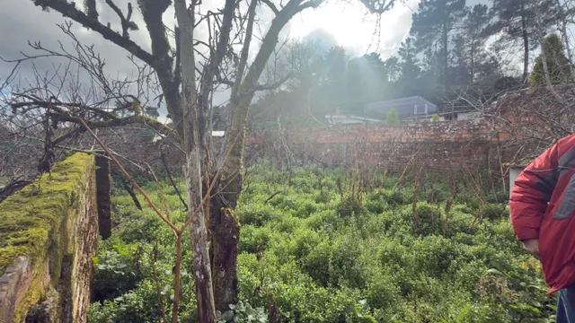 ¡Descubre el encanto de esta casa independiente en Piñor! - foto 3