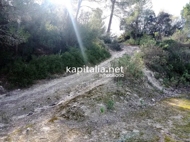 PARCELAS A LA VENTA EN LOS TERMINOS DE ONTINYENT Y AGULLENT, ZONA CALS XOPS Y CAL CANONGE — 5
