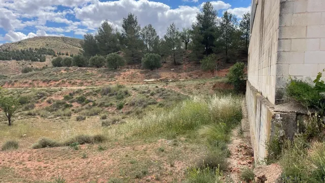 Se vende parcela de terreno rústico pegado al pabellón polid - foto 5