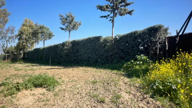 Terreno rural 10m² en alquiler - San Nicasio — 12